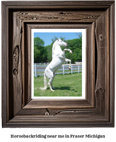 horseback riding near me in Fraser, Michigan